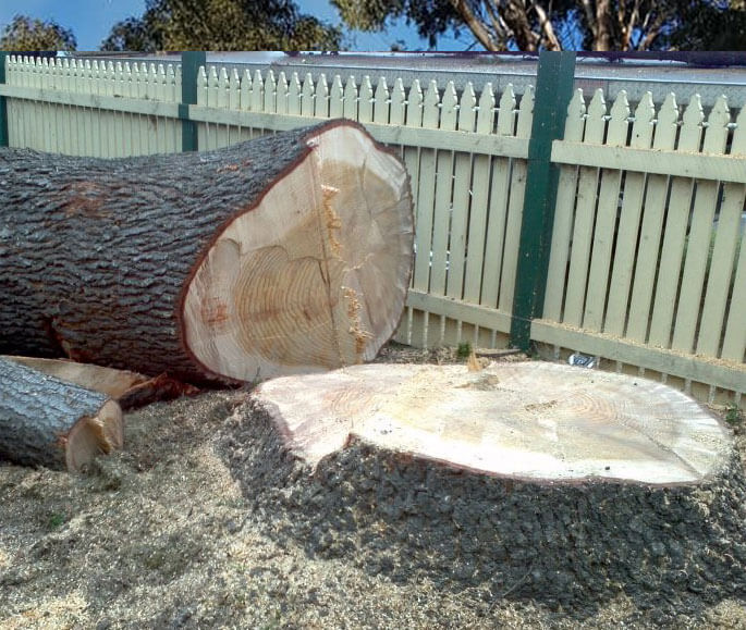 Stump Grinding